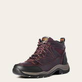 Terrain-Ariat