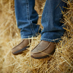 Spitfire Shoe-Ariat