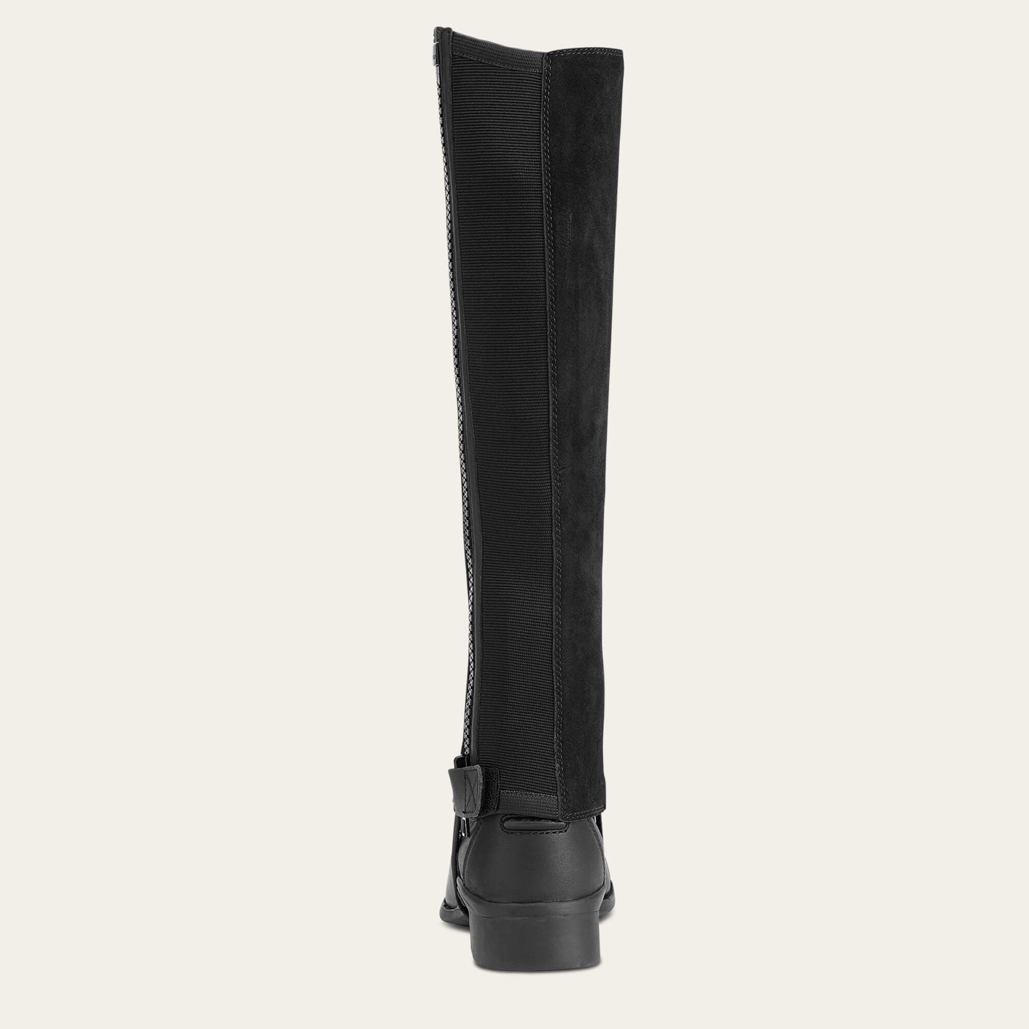 Scout Chap Half Chap-Ariat