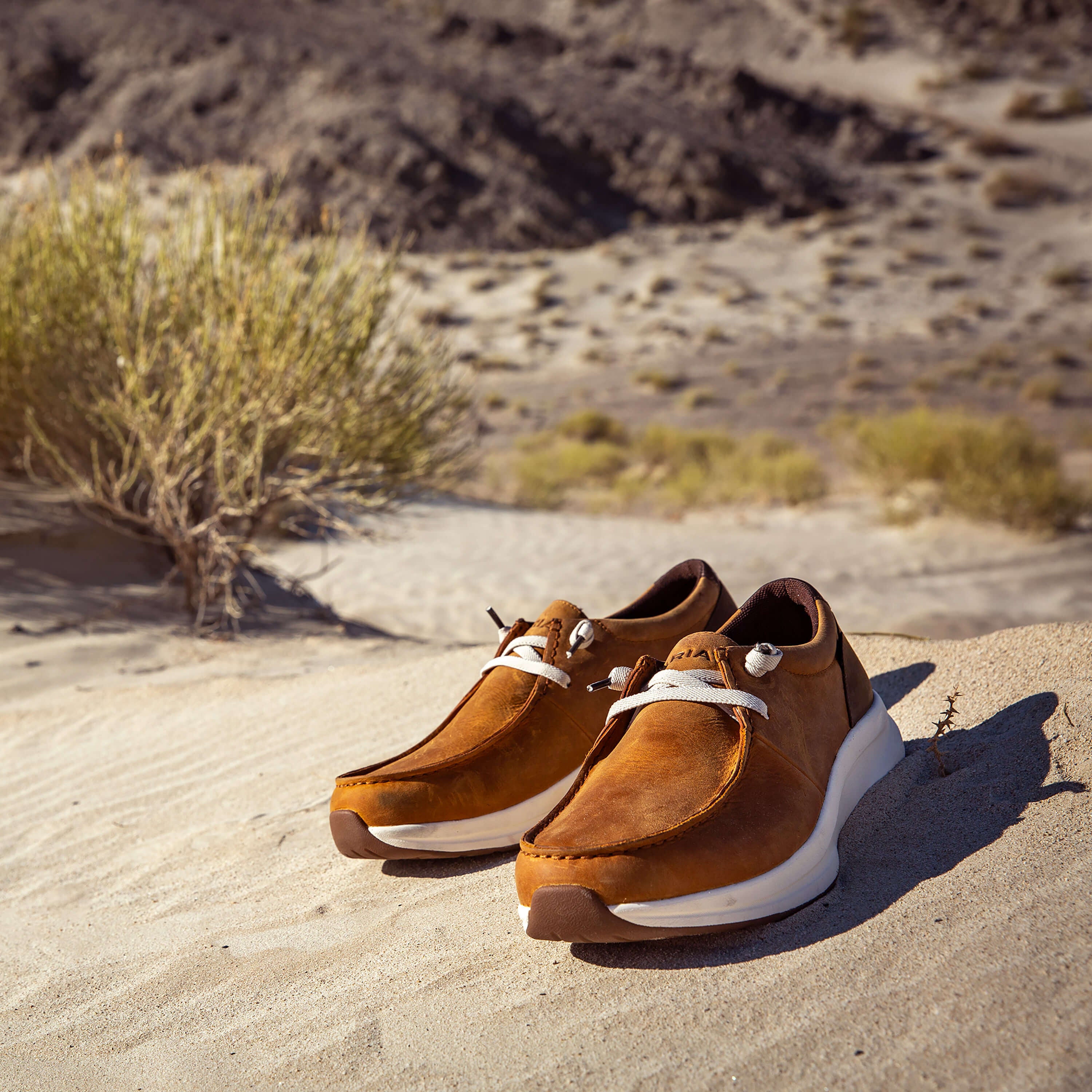 Buckeye Waterproof Shoe-Ariat