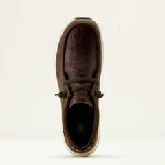 Buckeye Waterproof Shoe-Ariat