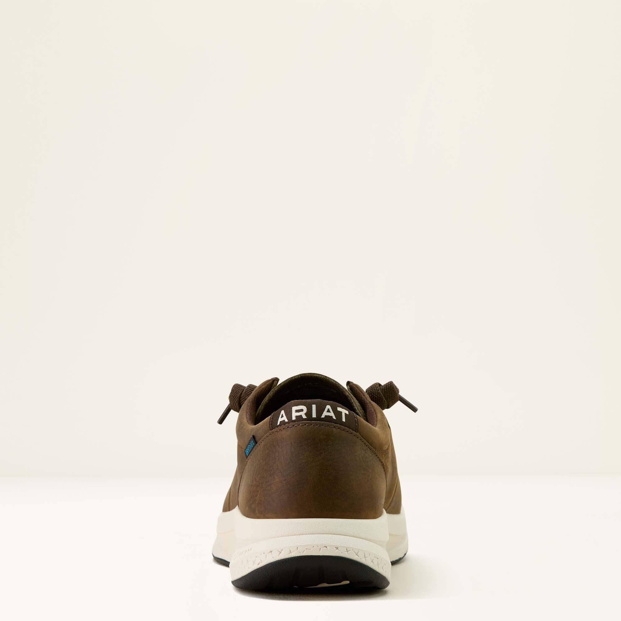 Buckeye Waterproof Shoe-Ariat