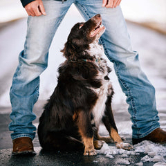 M2 Relaxed Stirling Stretch Boot Cut Jean-Ariat