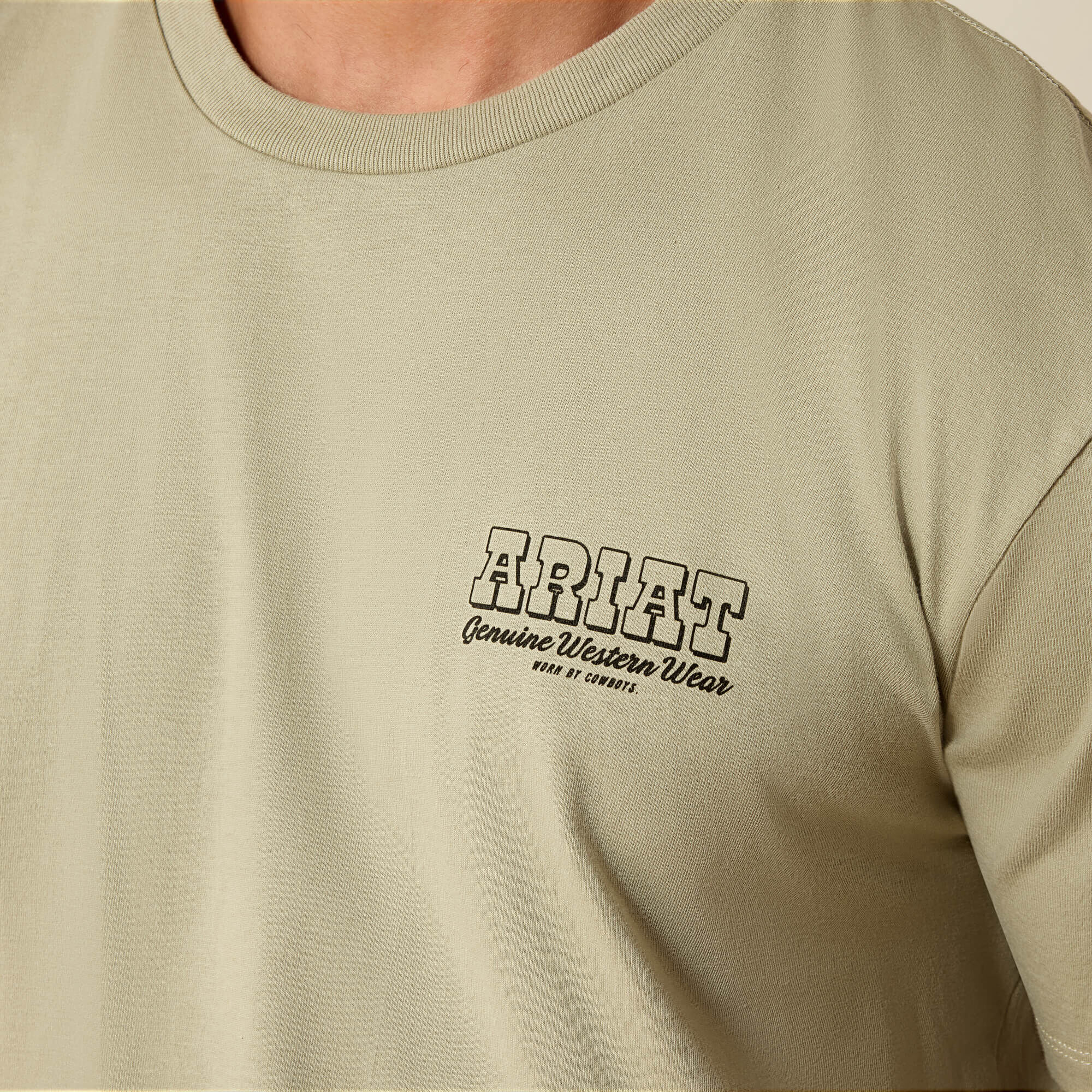 Ariat Porcupine Posse Classic Fit T-Shirt-Ariat