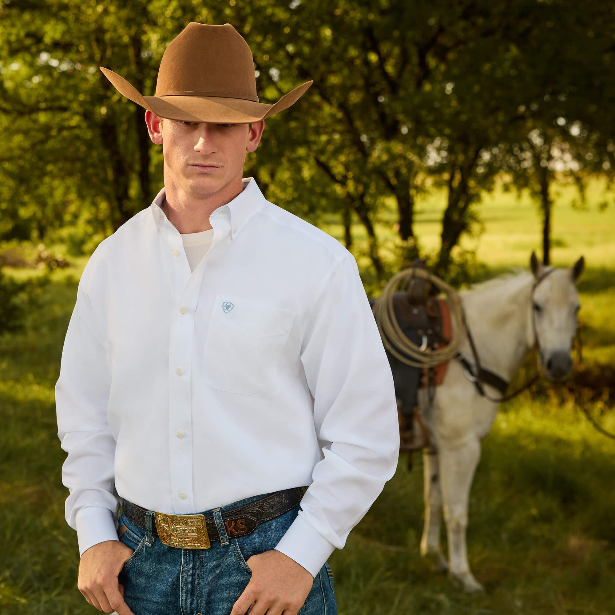 Wrinkle Free Solid Classic Fit Shirt-Ariat