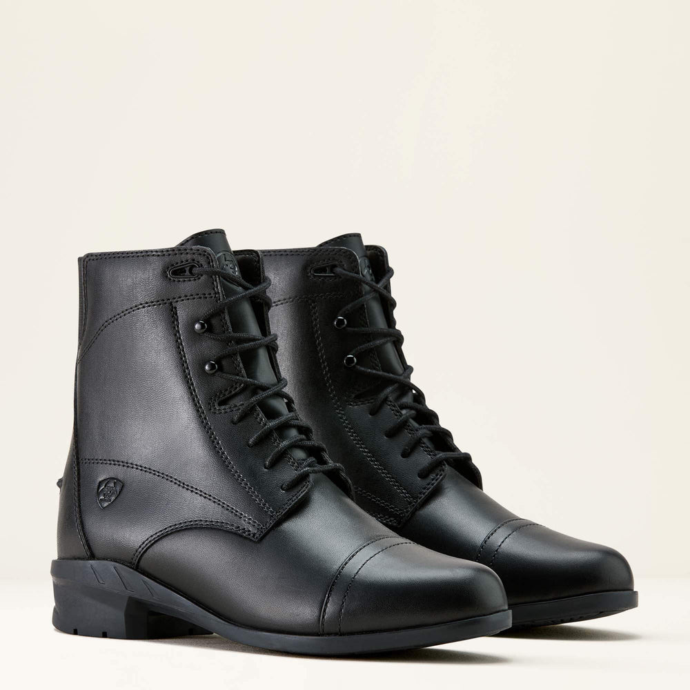 Scout Paddock Boot-Ariat