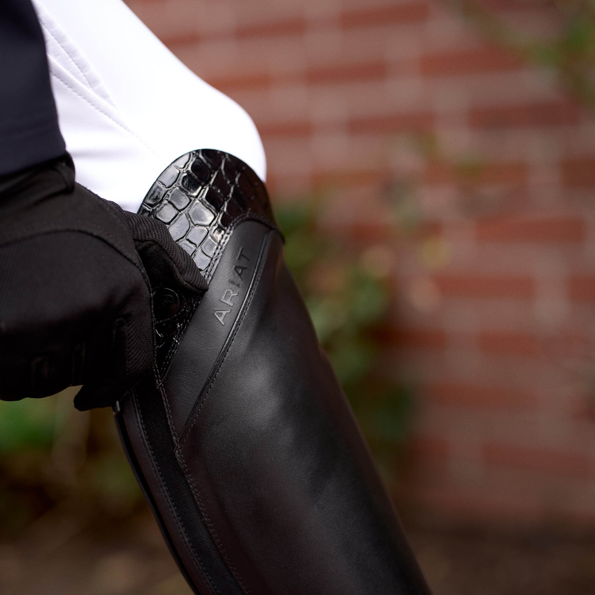 Palisade Show Tall Riding Boot-Ariat