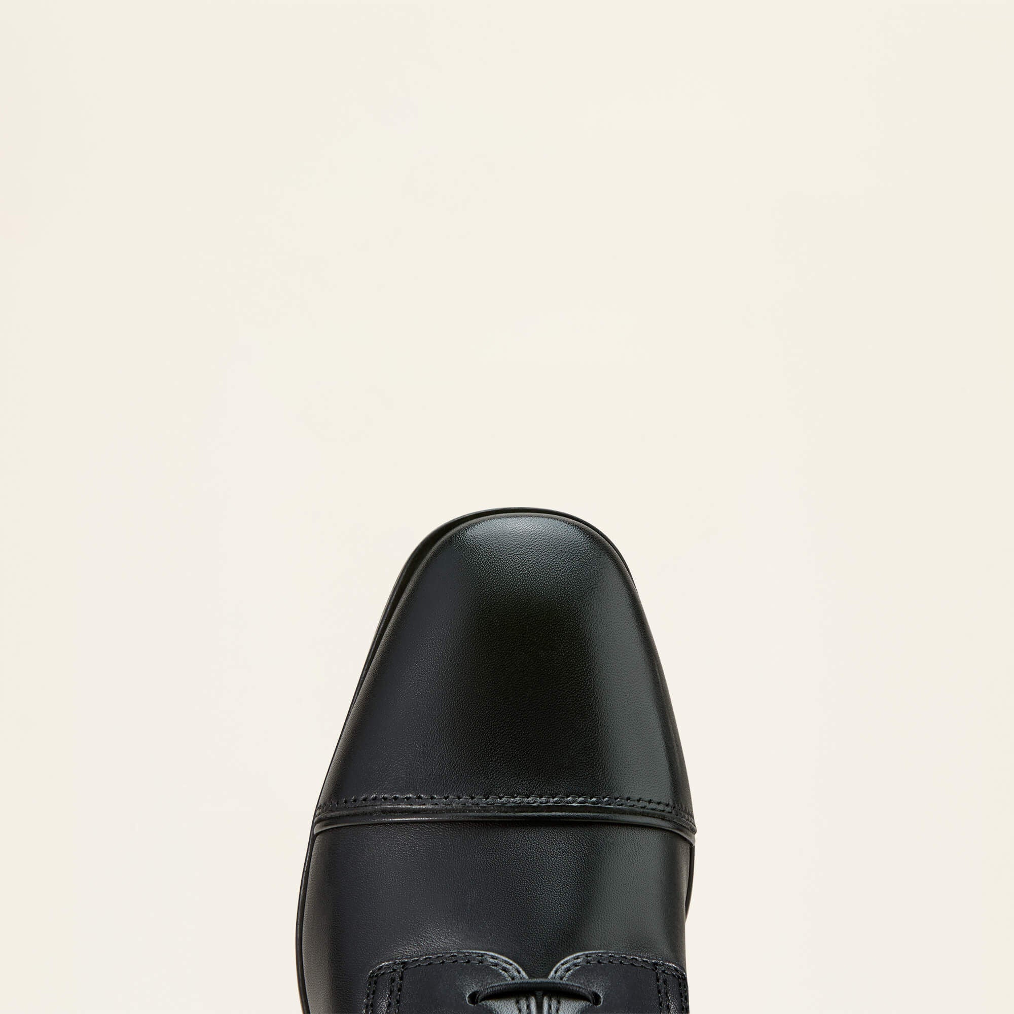 Palisade Lace Tall Riding Boot-Ariat