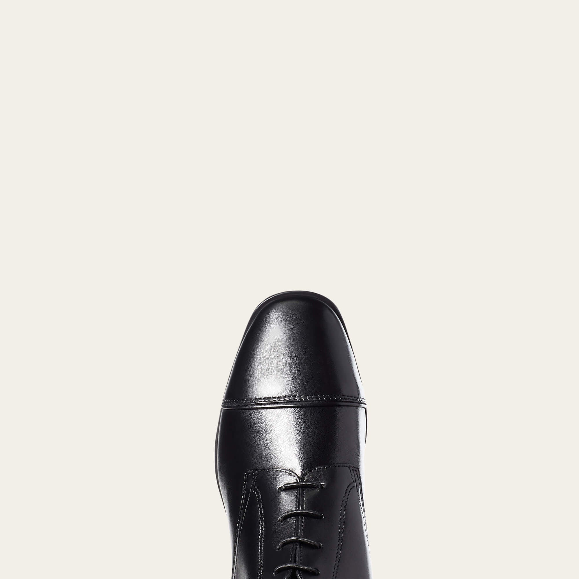 Palisade Tall Riding Boot-Ariat
