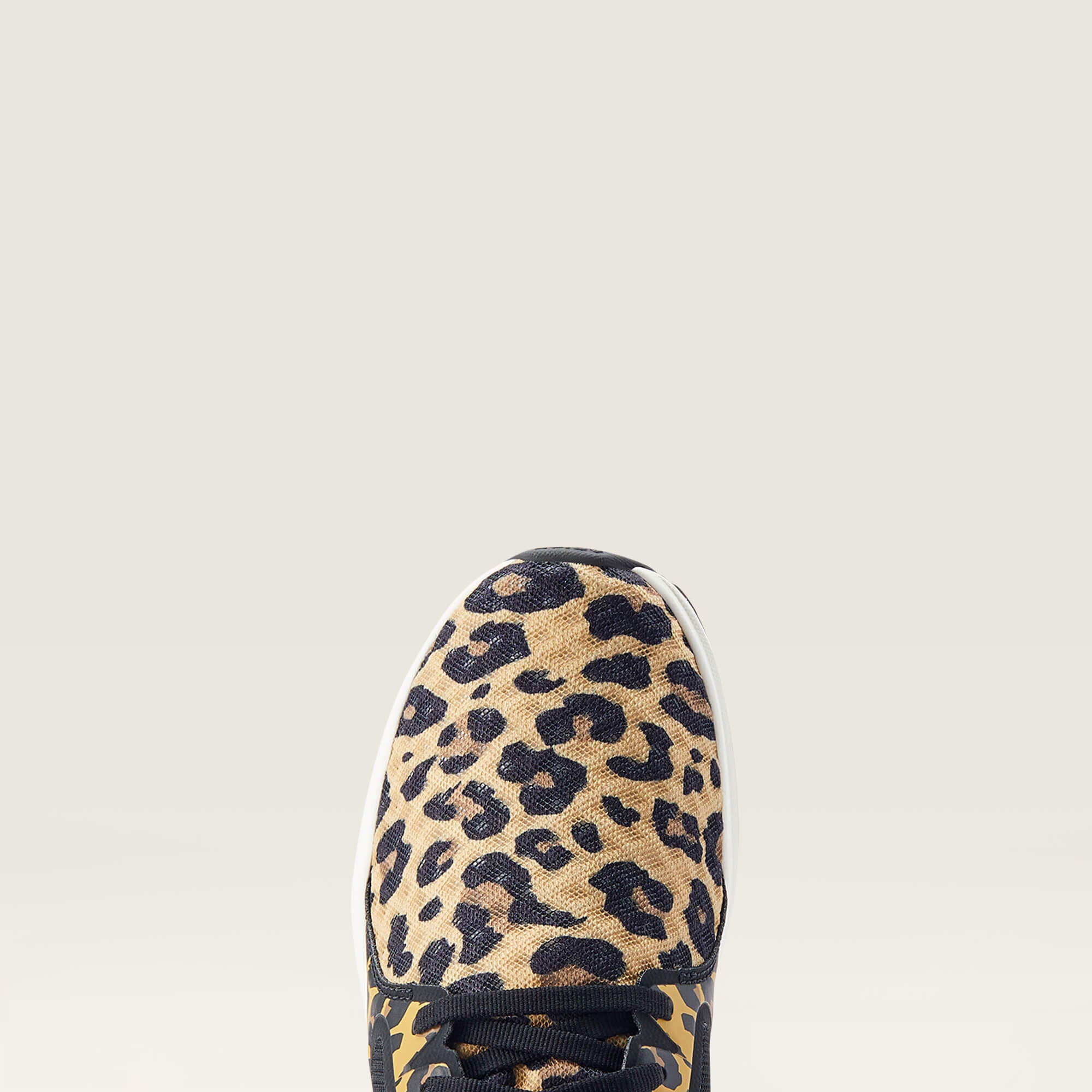 Fuse-Ariat
