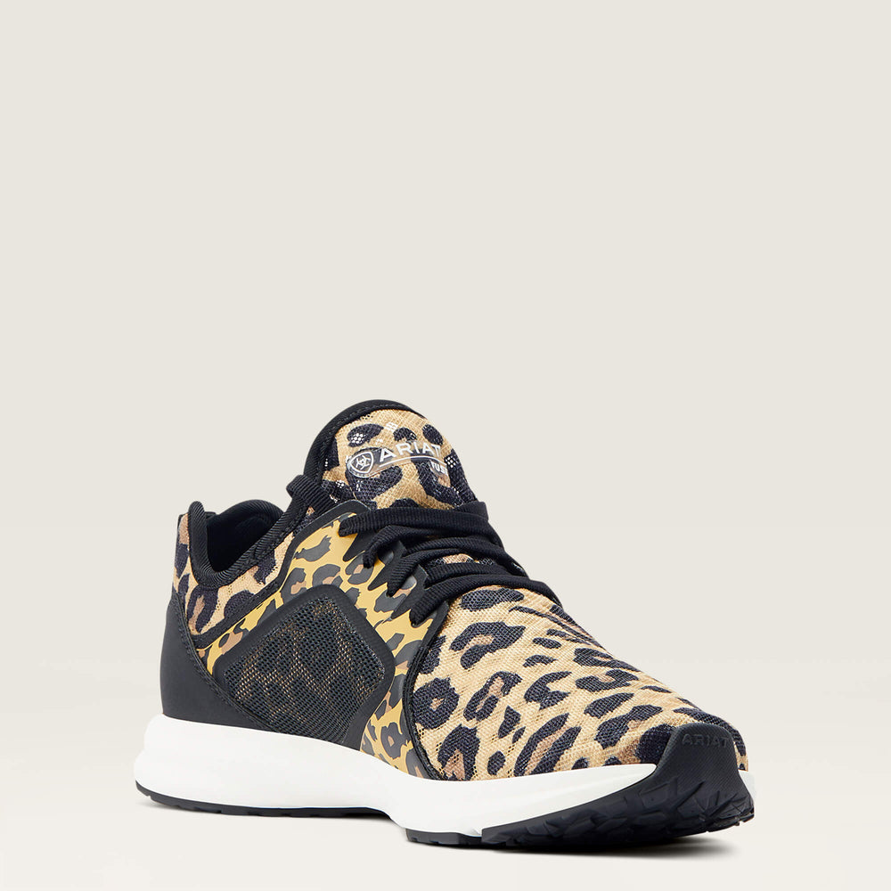 Fuse-Ariat