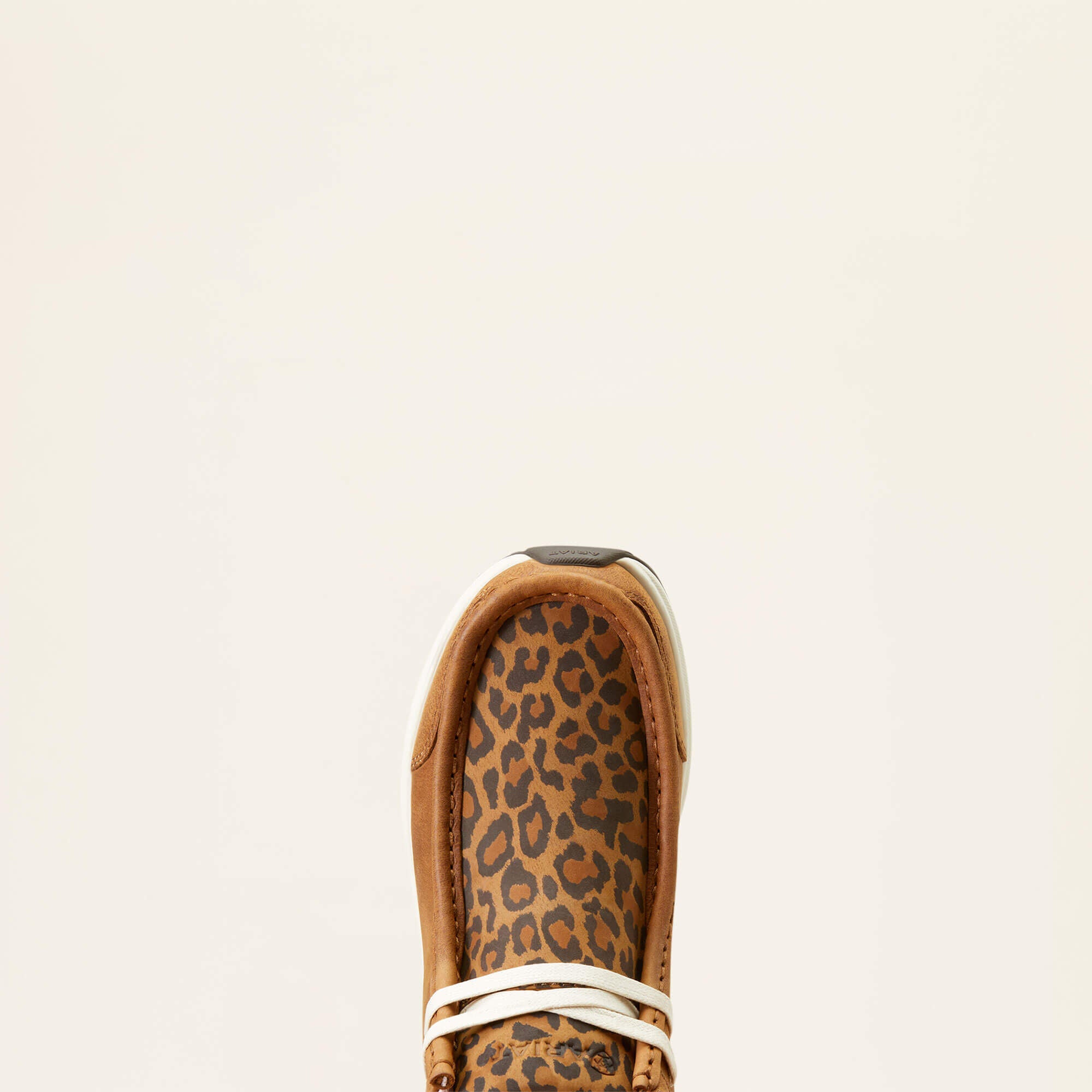 Spitfire-Ariat
