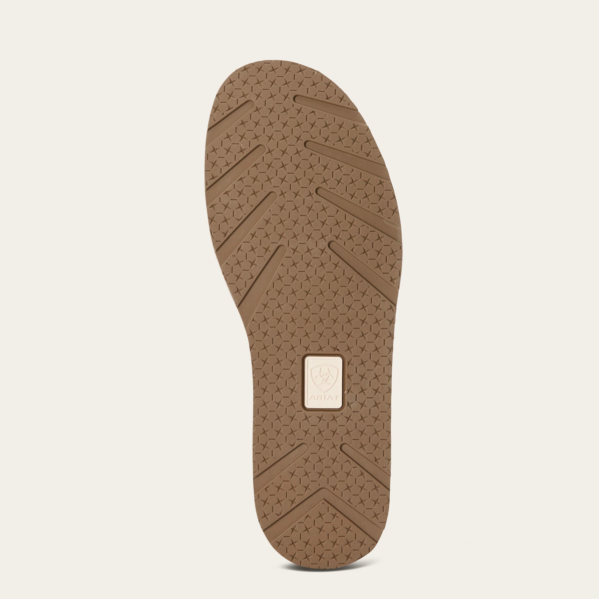 Cruiser-Ariat