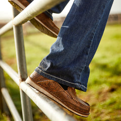 Cruiser-Ariat