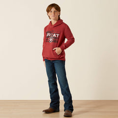 Ariat Liquid Stamp Flag Hoodie-Ariat