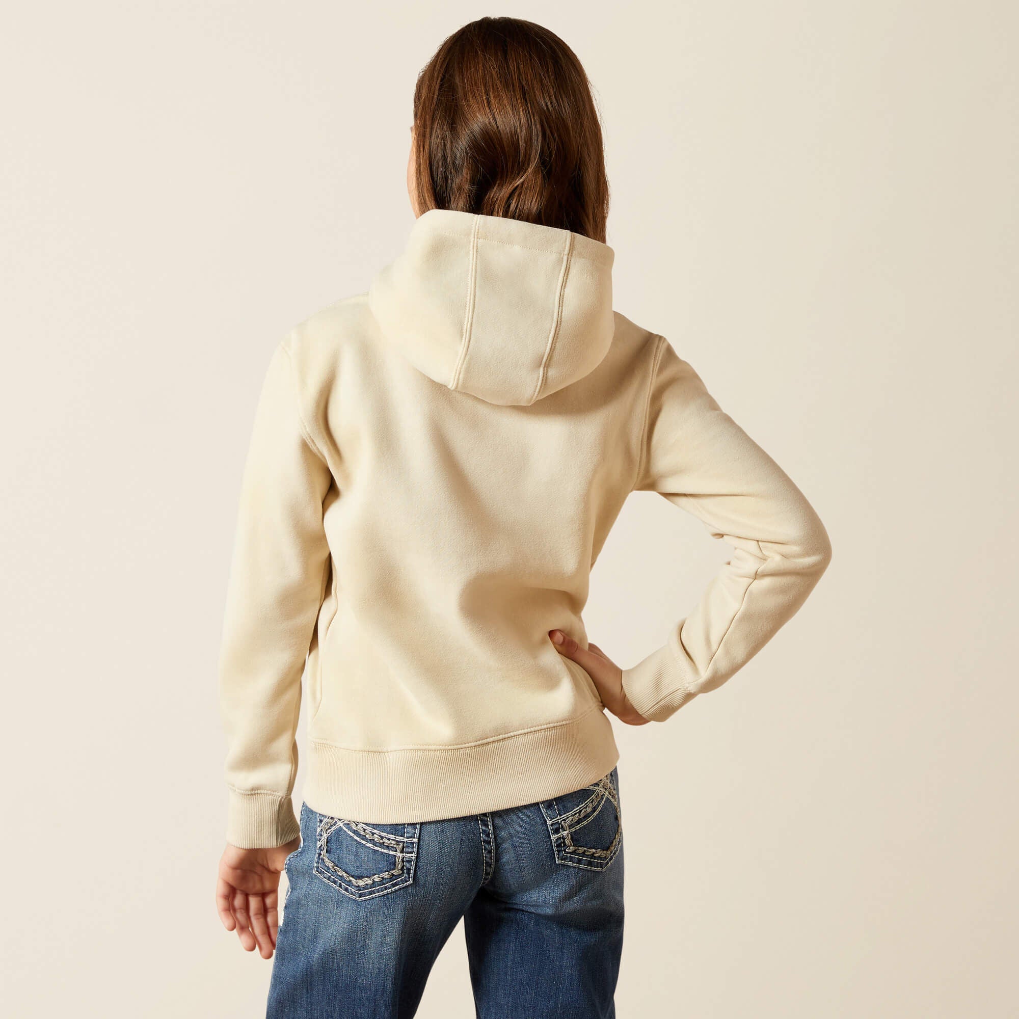 Western Blocks Hoodie-Ariat
