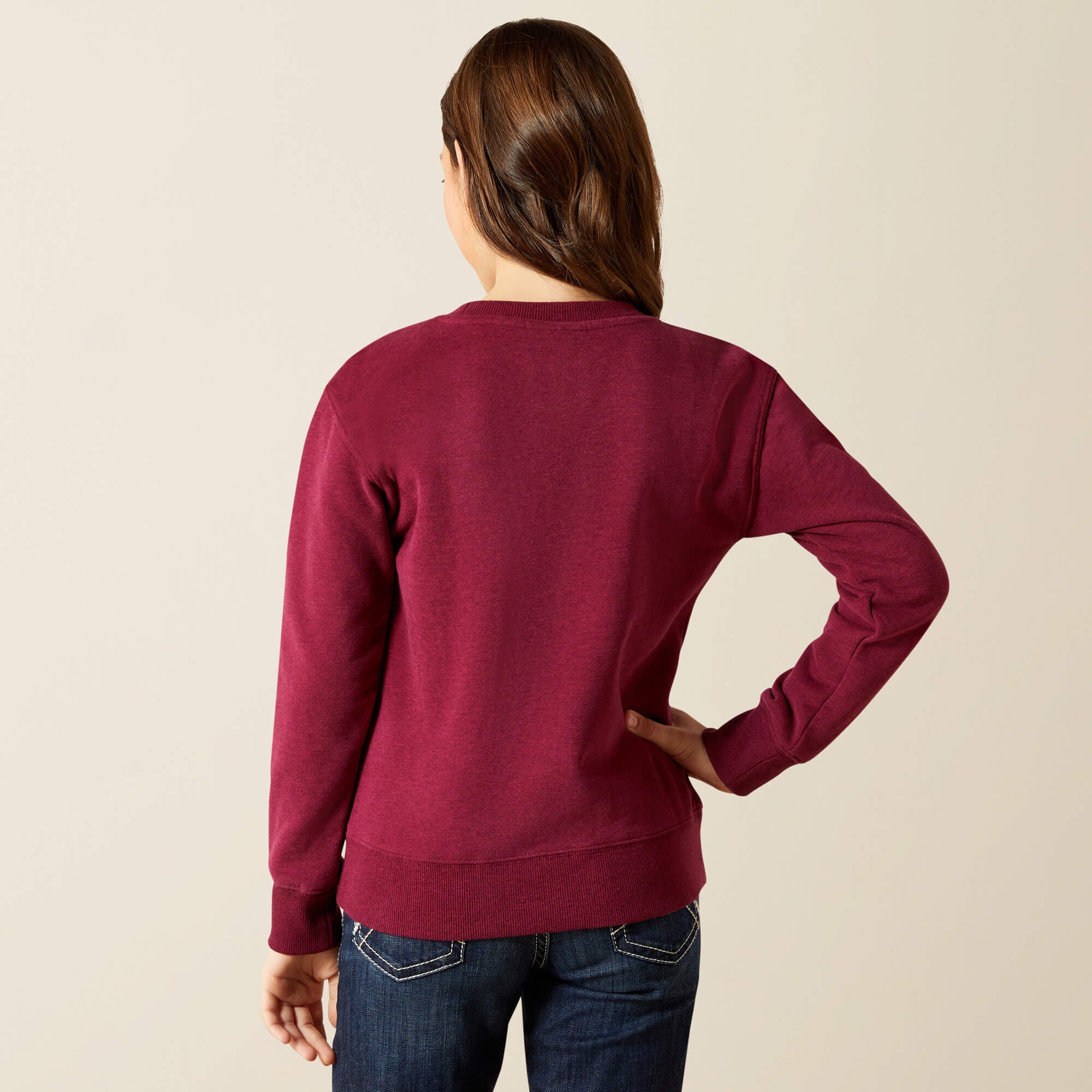Ariat Emblem Sweatshirt-Ariat